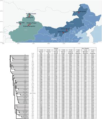Genetic origins and migration patterns of Xinjiang Mongolian group revealed through Y-chromosome analysis